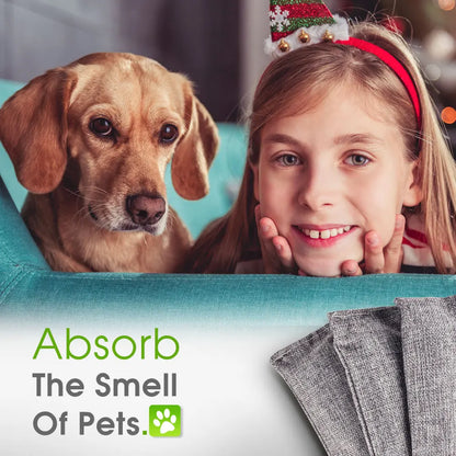 Natural Bamboo Charcoal Odor Absorbers for Fresh Home & Car Air.