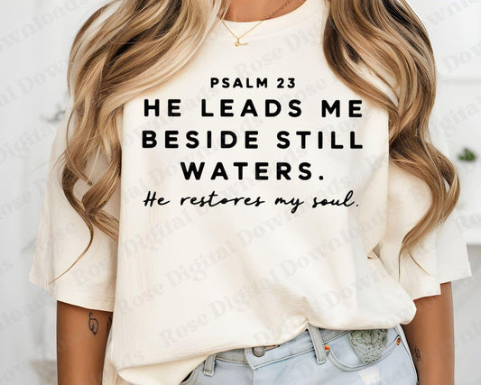 Psalm 23 Still Waters Comfort: He Leads Me to Green Pastures.